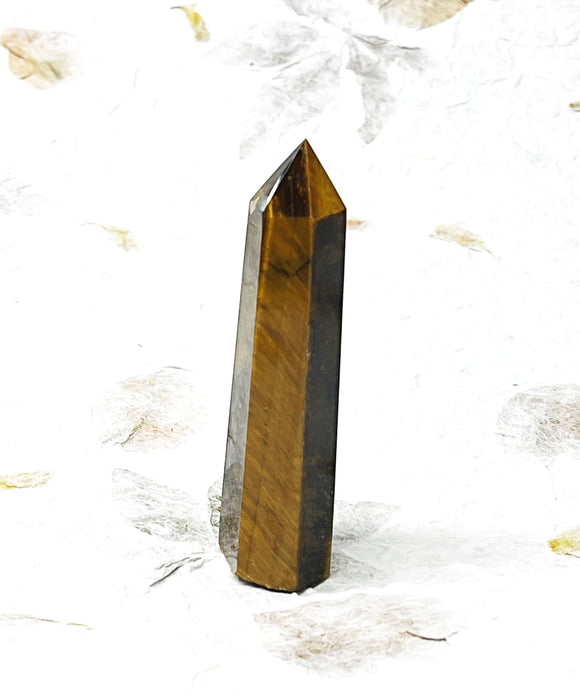 Point - Tiger Eye 3.5