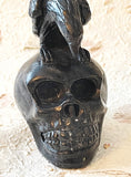 Skull -  Crow