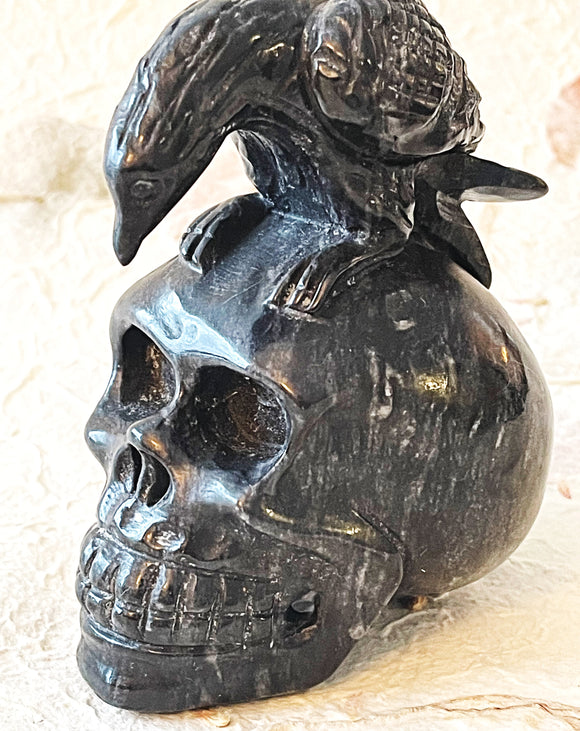 Skull -  Crow