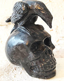 Skull -  Crow