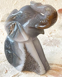 Geode Agate - Elephant