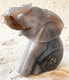 Geode Agate - Elephant
