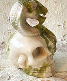 Skull -  Jade Snake