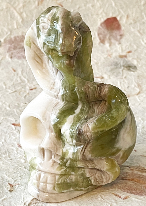 Skull -  Jade Snake