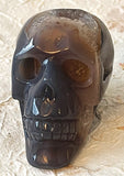 Skull - Geode Agate 1