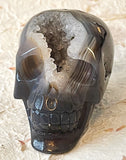 Skull - Geode Agate 2
