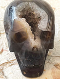 Skull - Geode Agate 2