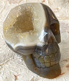 Skull - Geode Agate 3