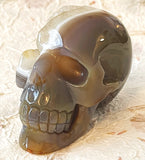 Skull - Geode Agate 3