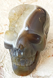 Skull - Geode Agate 3