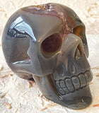 Skull - Geode Agate 4