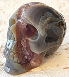 Skull - Geode Agate 4