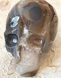 Skull - Geode Agate 5