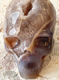 Skull - Geode Agate 6