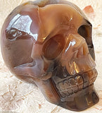 Skull - Geode Agate 7