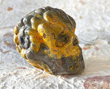 Skull -  Bumble Bee Jasper 1