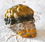 Skull -  Bumble Bee Jasper 2
