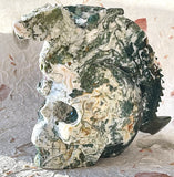 Skull -  Moss Agate with Dragon