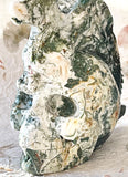Skull -  Moss Agate with Dragon