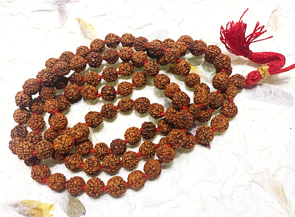 Mala - Rudraksha