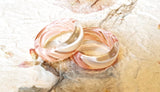 Colorful Ring - Pastel Pink (Thick)
